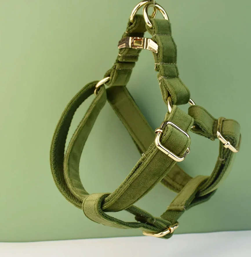 Forest green best sale dog harness