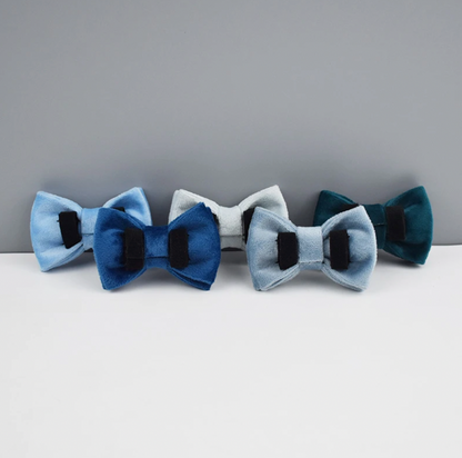 Velvet Cat Collar with Bow Tie