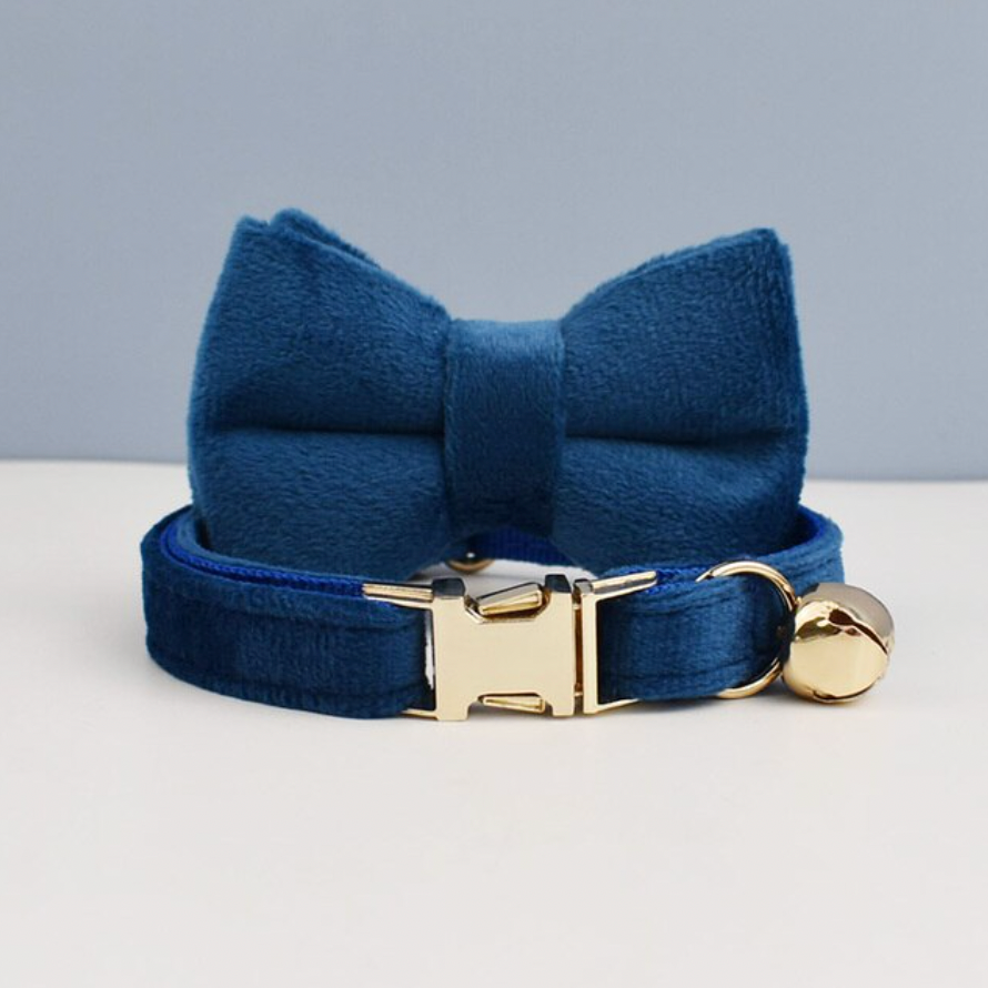 Personalised Velvet Cat Collar and Bow Tie