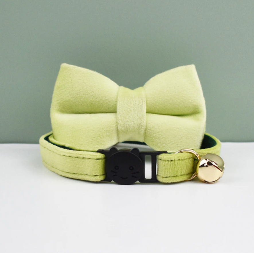 Velvet Cat Collar with Bow Tie