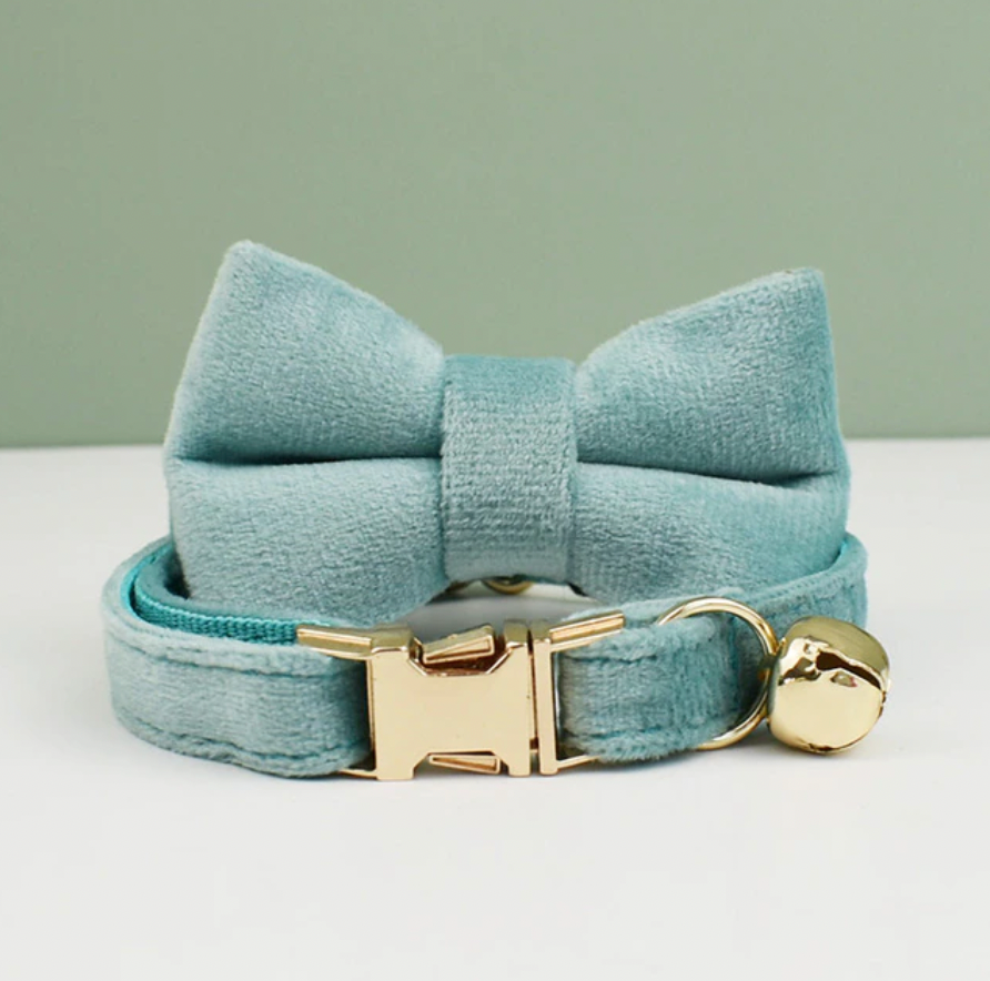 Personalised Velvet Cat Collar and Bow Tie