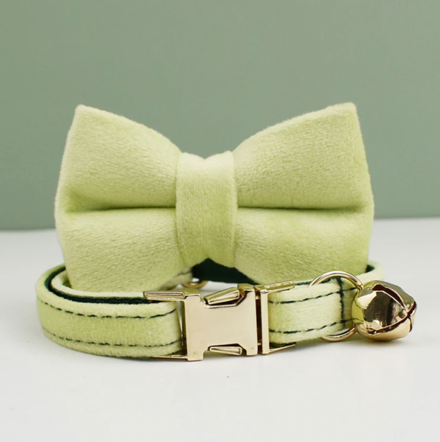 Personalised Velvet Cat Collar and Bow Tie