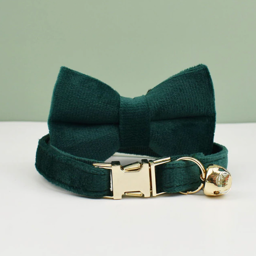 Personalised Velvet Cat Collar and Bow Tie