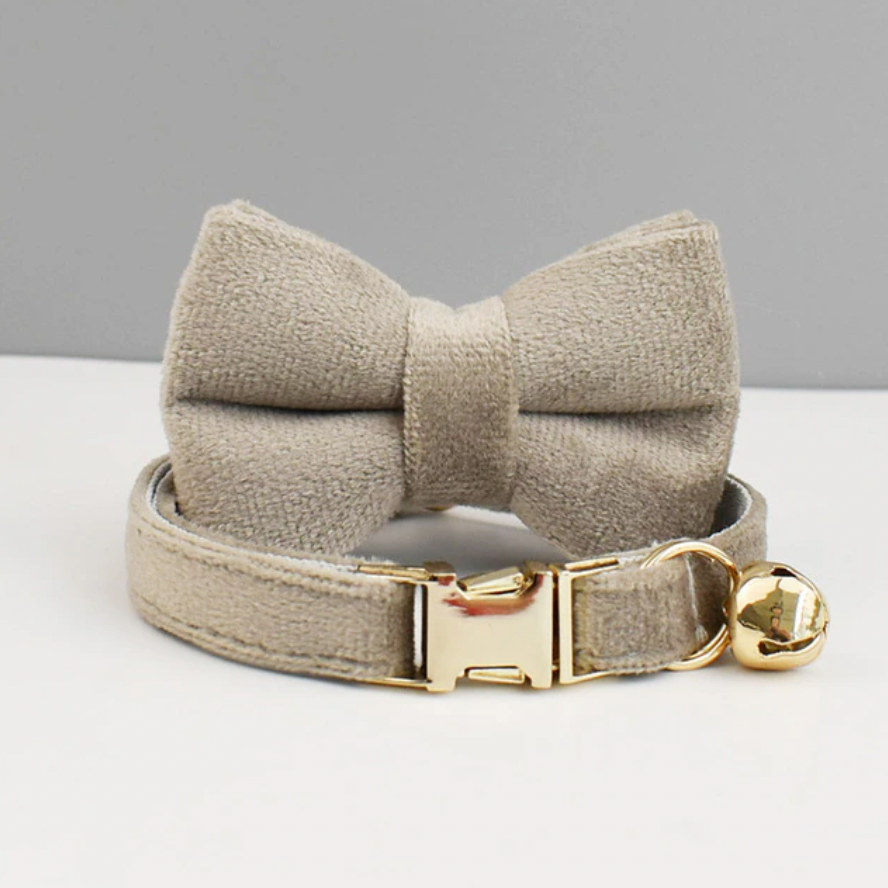 Personalised Velvet Cat Collar and Bow Tie