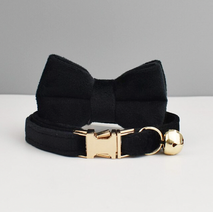 Personalised Velvet Cat Collar and Bow Tie