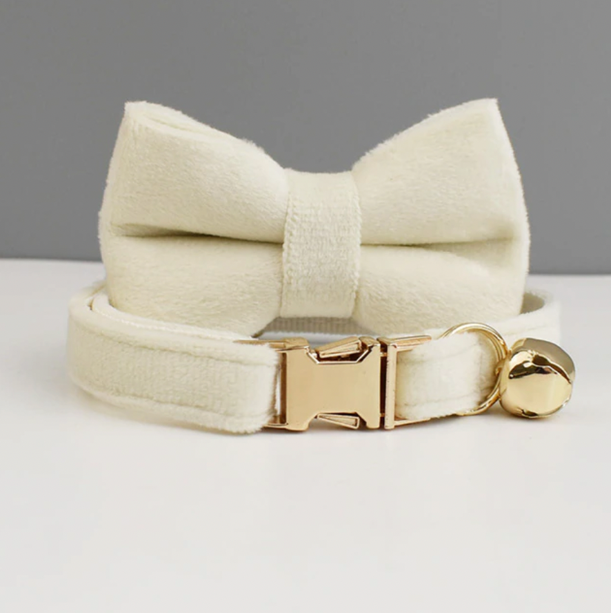 Personalised Velvet Cat Collar and Bow Tie