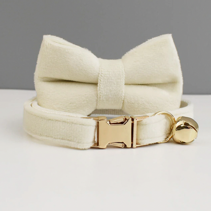 Personalised Velvet Cat Collar and Bow Tie