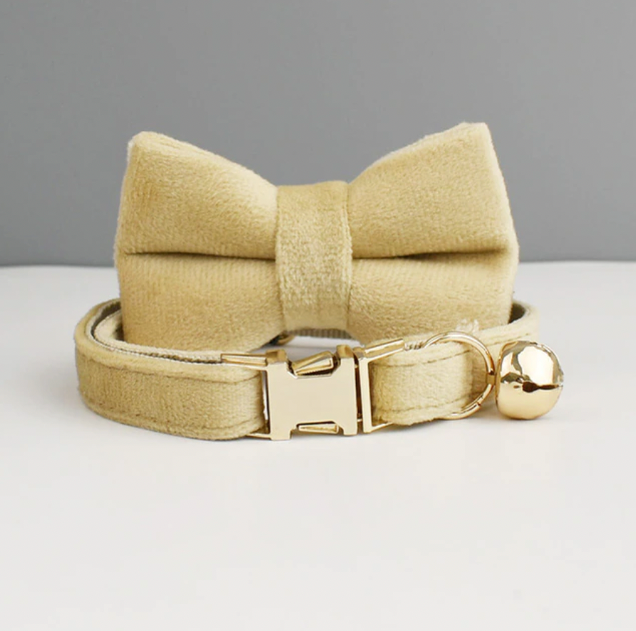 Personalised Velvet Cat Collar and Bow Tie