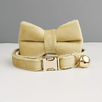 Personalised Velvet Cat Collar and Bow Tie