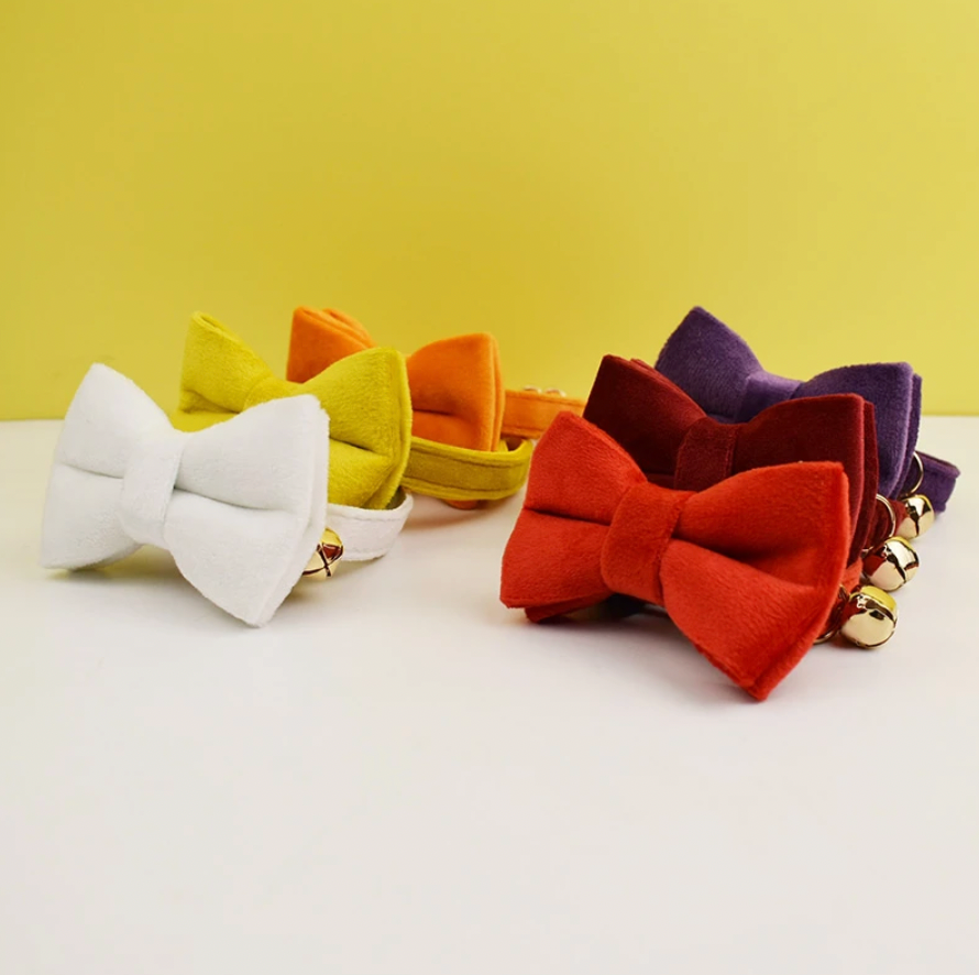 Personalised Velvet Cat Collar and Bow Tie