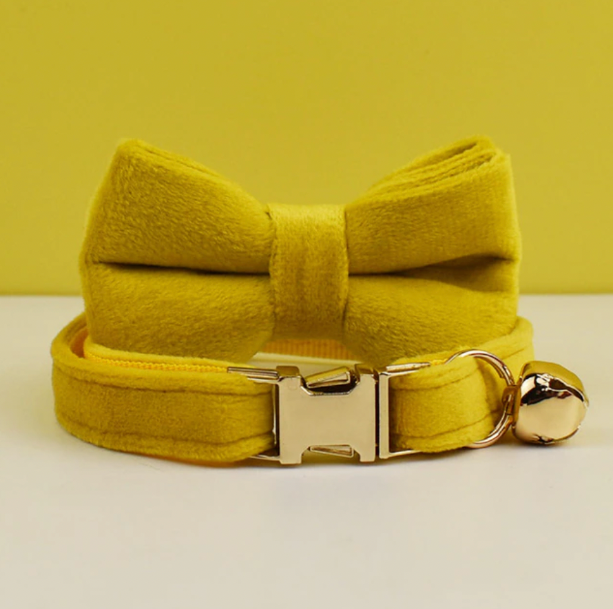 Personalised Velvet Cat Collar and Bow Tie