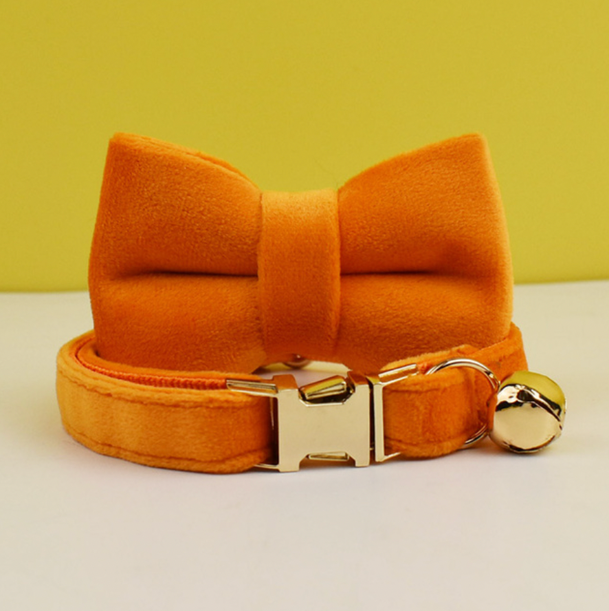 Personalised Velvet Cat Collar and Bow Tie