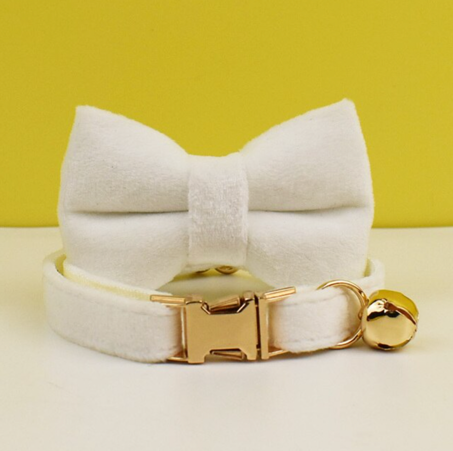 Personalised Velvet Cat Collar and Bow Tie