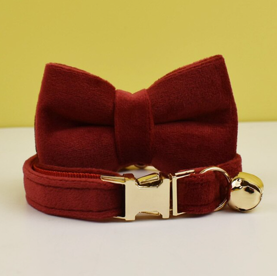 Personalised Velvet Cat Collar and Bow Tie