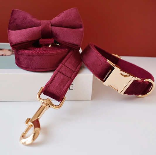 Burgundy Dog Collar, Bow Tie & Matching Leash Set