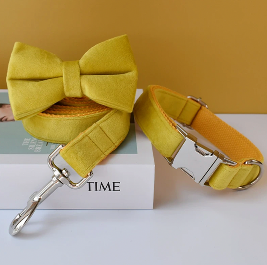 Yellow Dog Collar, Bow Tie & Matching Leash Set