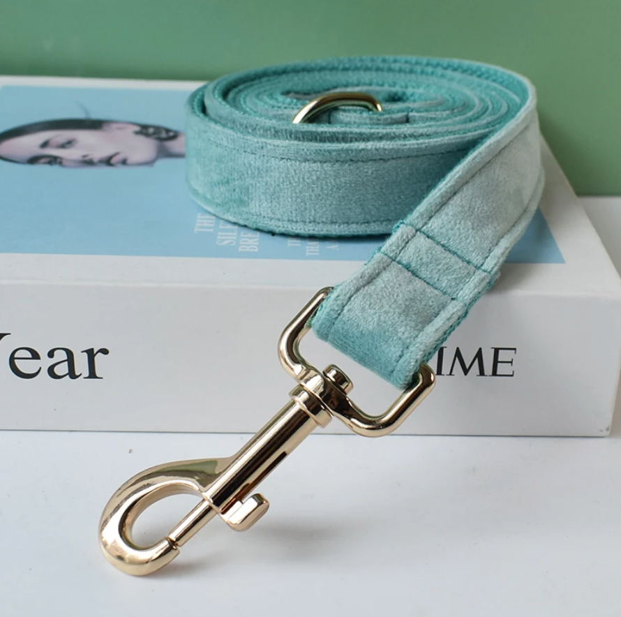 Aqua Dog Collar, Bow Tie & Matching Leash Set