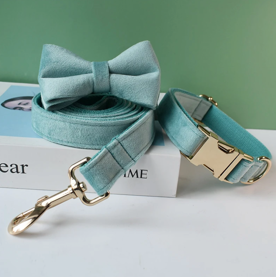 Aqua Dog Collar, Bow Tie & Matching Leash Set