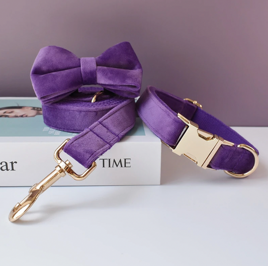 Purple Dog Collar, Bow Tie & Matching Leash Set