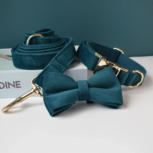 Peacock Blue Dog Collar, Bow Tie & Matching Leash Set