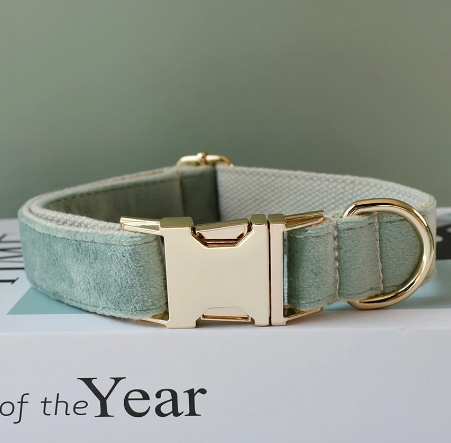 Mint Green Dog Collar, Bow Tie & Matching Leash Set