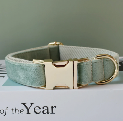 Mint Green Dog Collar, Bow Tie & Matching Leash Set