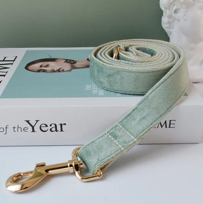 Mint Green Dog Collar, Bow Tie & Matching Leash Set