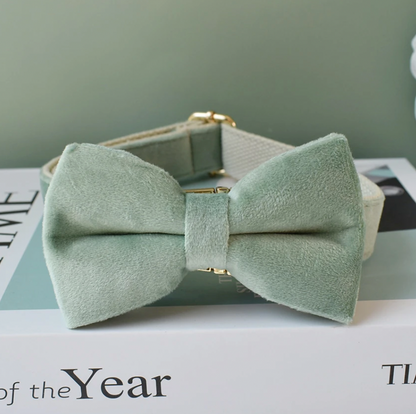 Mint Green Dog Collar, Bow Tie & Matching Leash Set