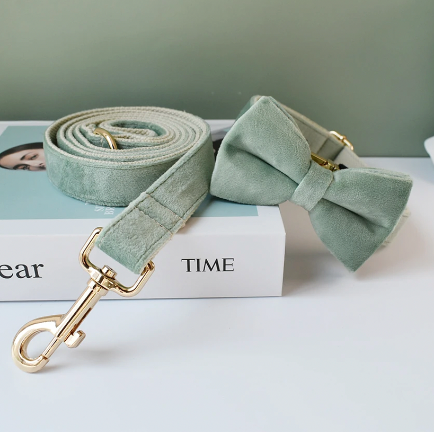 Mint Green Dog Collar, Bow Tie & Matching Leash Set