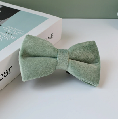 Mint Green Dog Collar, Bow Tie & Matching Leash Set