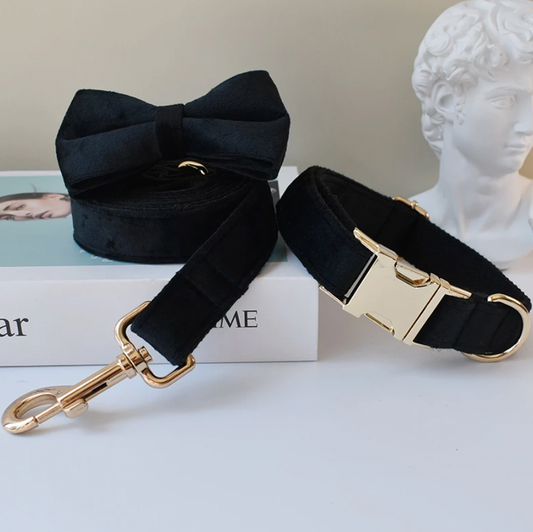 Black Dog Collar, Bow Tie & Matching Leash Set