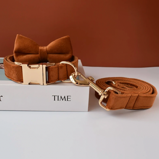 Burnt Orange Dog Collar, Bow Tie & Matching Leash Set