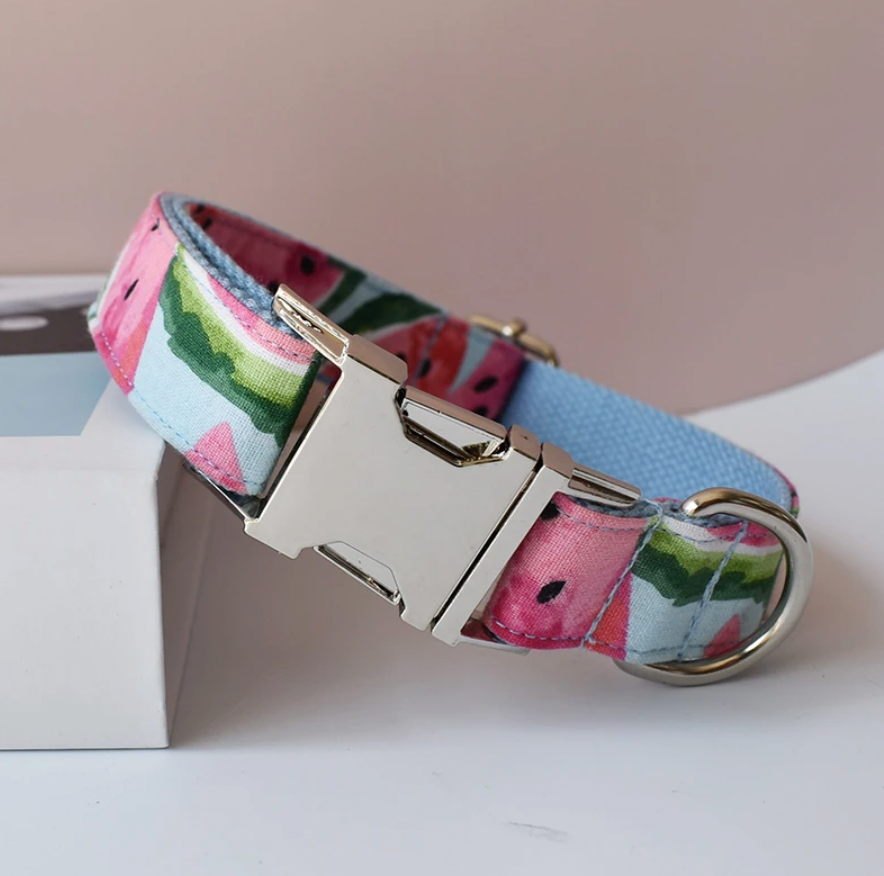 Blue Watermelon Dog Collar, Bow Tie & Matching Leash Set