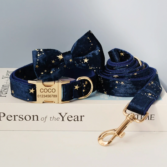 Blue Wizzard Dog Collar, Bow Tie & Matching Leash Set