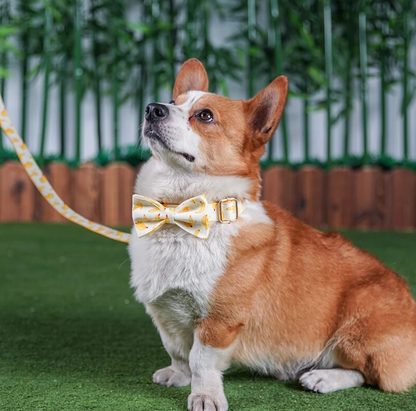 Banana Dog Collar, Bow Tie & Matching Leash Set