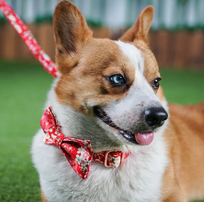 Cherry Blossom Dog Collar, Bow Tie & Matching Leash Set