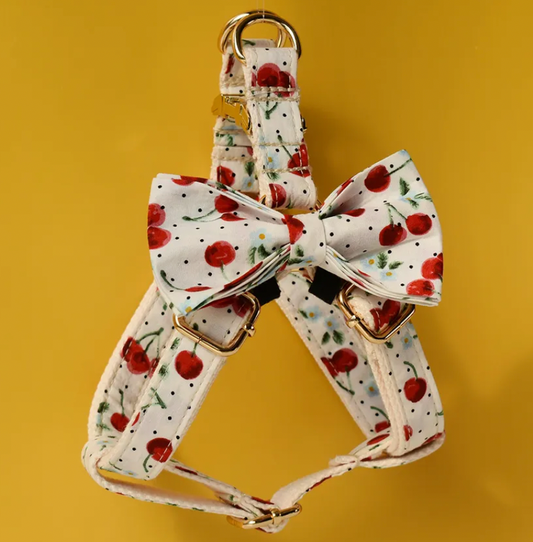 Cherry Dog Harness Set