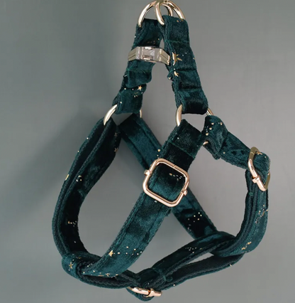 Green Wizzard Dog Harness Set