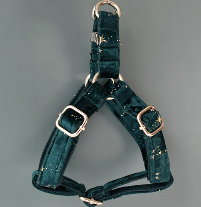 Green Wizzard Dog Harness Set