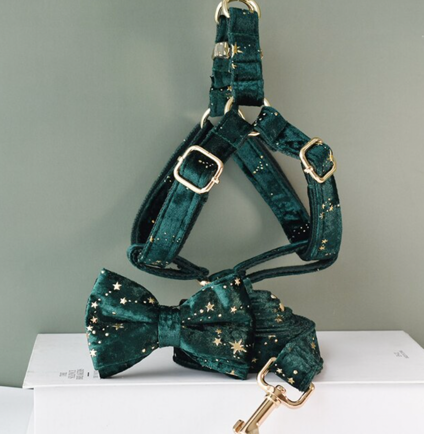 Green Wizzard Dog Harness Set