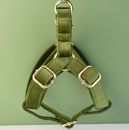 Forest Green Dog Harness Set