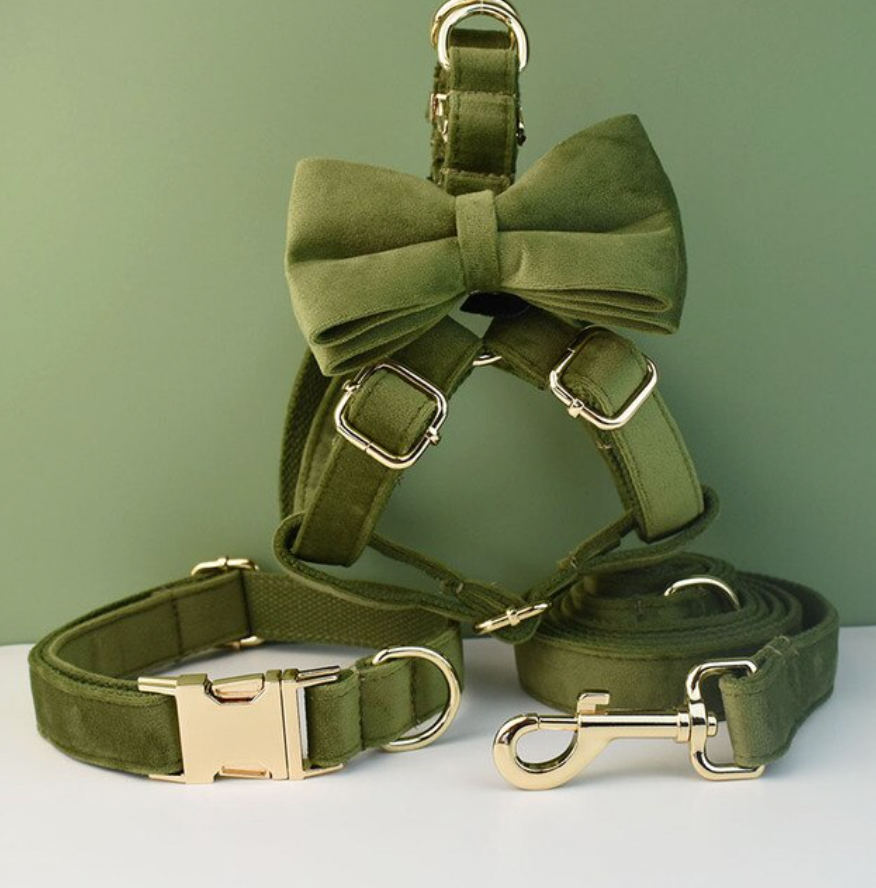 Forest Green Dog Harness Set