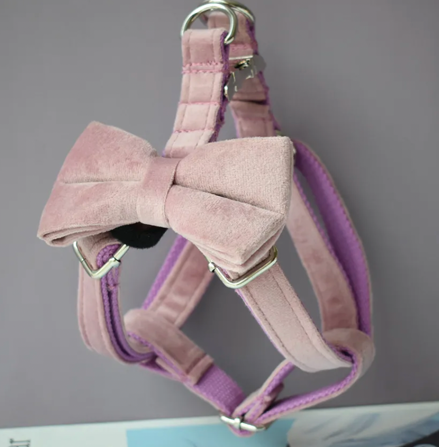 Dusty Pink Dog Harness Set