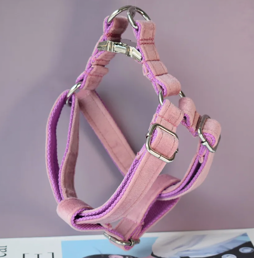 Dusty Pink Dog Harness Set