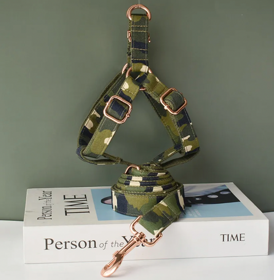 Camo Dog Harness Set