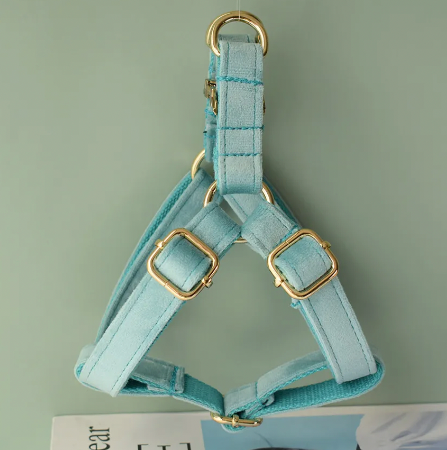 Aqua Dog Harness Set