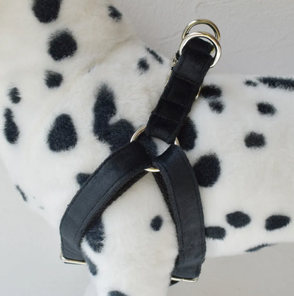 Black Dog Harness Set