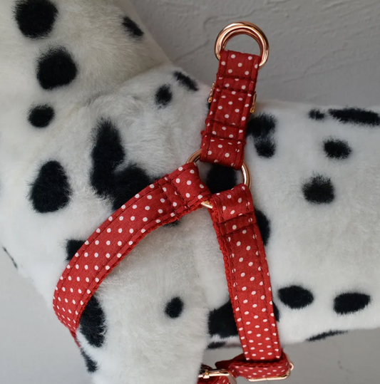 Red Polka Dot Dog Harness Set