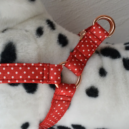 Red Polka Dot Dog Harness Set