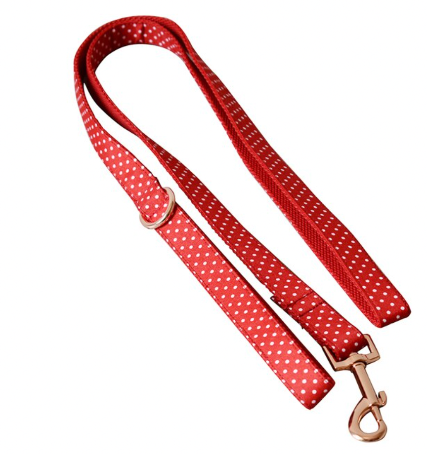 Red Polka Dot Dog Harness Set